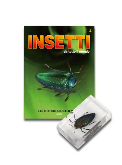 Insetti Da Tutto Il Mondo Uscita N Coleottero Gioiello Verde By