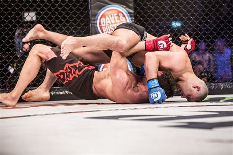 Fighting Fair: Why do Humans Love Fighting? - Sidekick Boxing 