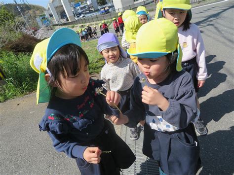 【ふくおか子育てbook2023】子どもたちが自ら育つ環境 自然と共に心地よく生活できる保育園！『西都保育園』 ふくおかナビ