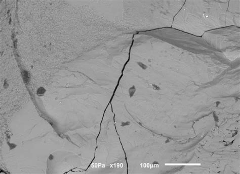 Scanning Electron Microscopy Showing The Presence Of Contamination By