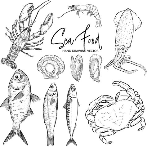 Hand Drawn Vector Seafood Set Vintage Style 8921829 Vector Art At Vecteezy