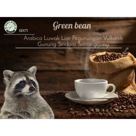 Jual GREEN BEAN KOPI GUNUNG SINDORO Arabica Luwak Liar 40 ARABICA