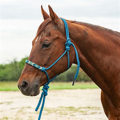 Cashel Cashel 9 Lead Rope And Beaded Rope Halter Wrs