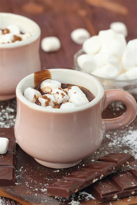 Hot Chocolate With Marshmallows Stock Photo Image Of Dessert Natural 81243046