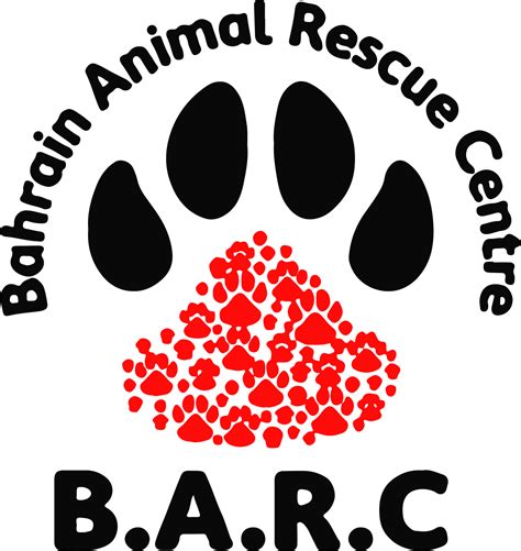 barc animal shelter & adoptions 9