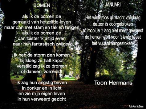 Toon Hermans Gedichten Inspirererende Citaten Boom