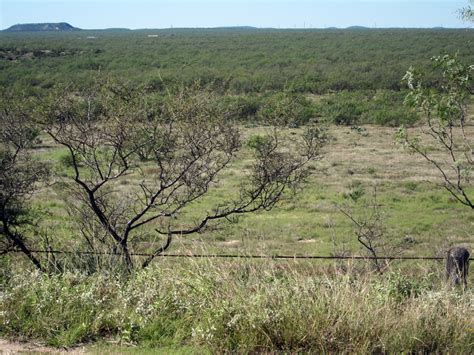 San Angelo State Park in San Angelo, Texas - Kid-friendly Attractions | Trekaroo