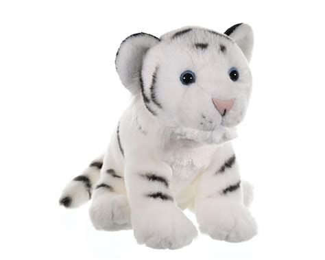 White Tiger In The Wild