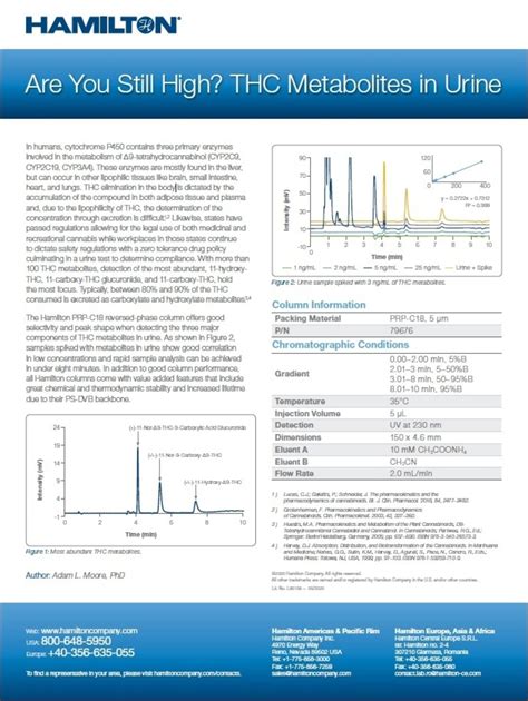 Thc Metabolites In Urine