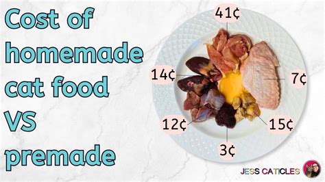 homemade cat food  store bought  delbert sanders blog