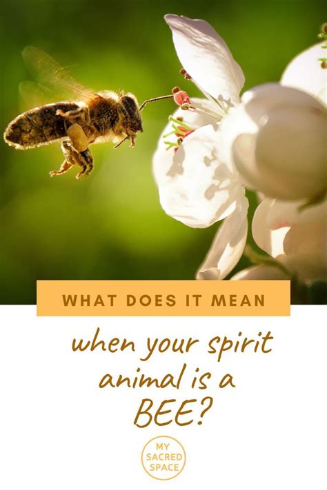 What Does A Bee Spirit Animal Mean And Symbolize Bee Spirit Animal