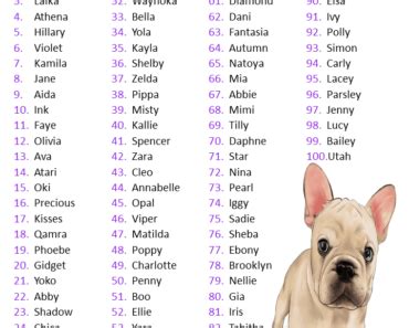 100 Amazing Female Dog names Archives - EngDic