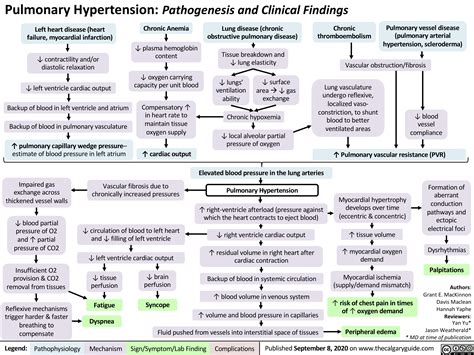 Pathogenesis Of Pulmonary Hypertension