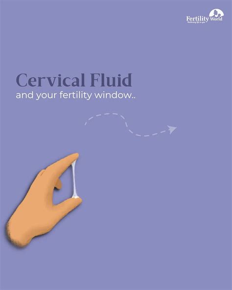 Cervical Fluid Artofit