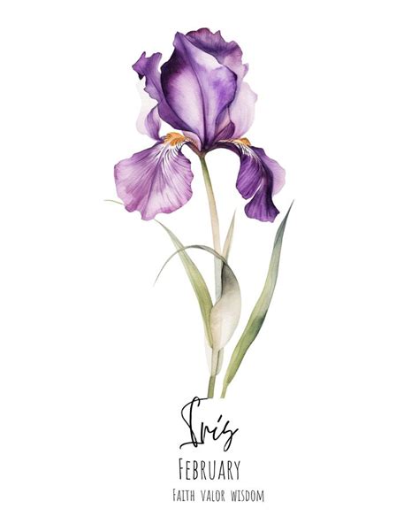 Purple Iris February Flower Watercolor Digital Art Print Birth Month