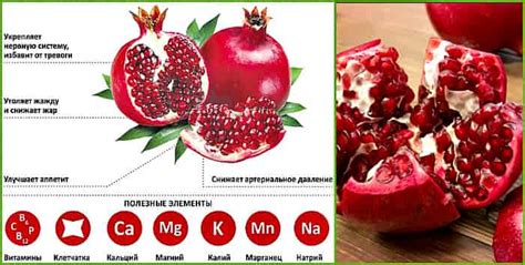 Чем полезен гранат для организма человека свойства и противопоказания