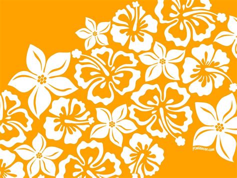 Luau Wallpapers Top Free Luau Backgrounds Wallpaperaccess