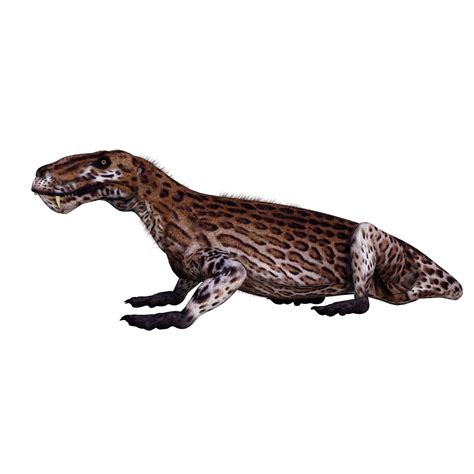 Lycaenops isolated dinosaur 3d render 18749583 PNG