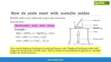 How Acids React With Metallic Oxides Cbse Class 10 Chemistry Notes Youtube