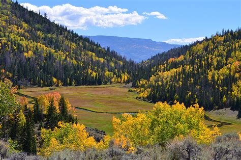 Meadows – Natural Atlas