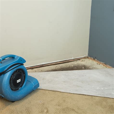 Does Insurance Cover Leaking Basement Flooring - Openbasement
