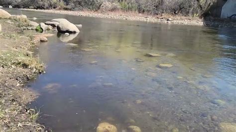 Kern River And Lake Isabella Fishing Report March 2022 Youtube