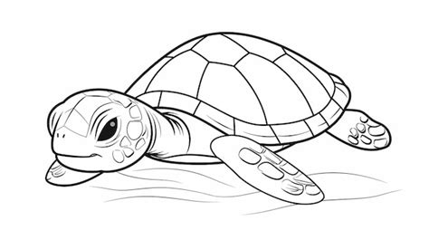 Un Dibujo De Una Tortuga Con Un Contorno Negro Y Las Palabras Tortuga