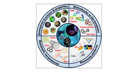 Biomimetic/Bioderived Nanoengineered Interfaces for Biosensor ...