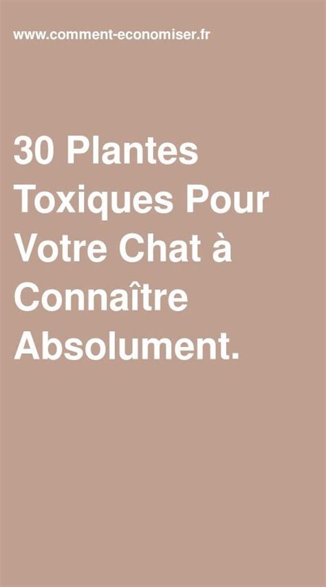 Certains Plantes Sont Toxiques Pour Le Chat Quand Il En Mange A Le