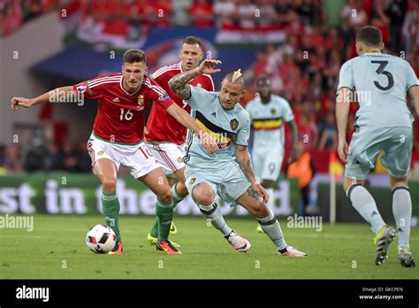 Uefa Euro Round Of Belgium V Hungary Stadium