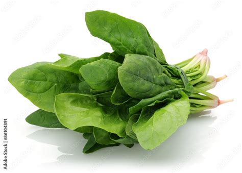 spinach stock photo adobe stock
