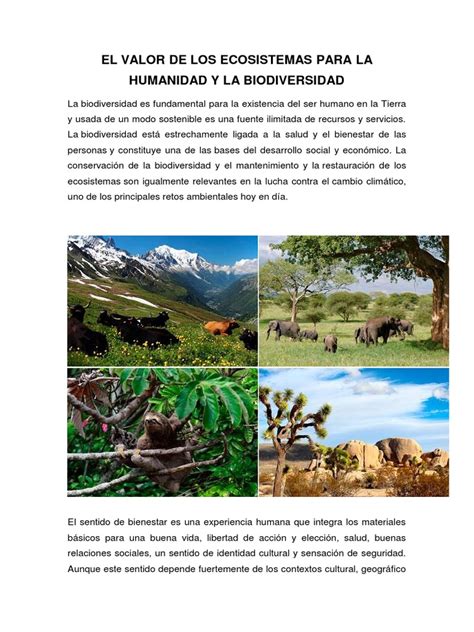 El Valor De Los Ecosistemas Para La Humanidad Y La Biodiversidad Descargar Gratis Pdf