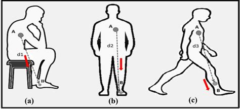 Physical body movement a sit b stand c walk | Download Scientific Diagram