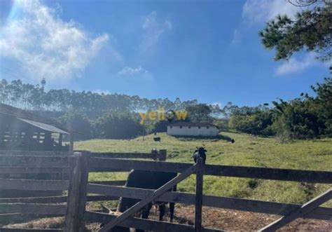 Fazendas Venda No Boa Vista Em Igarat Chaves Na M O