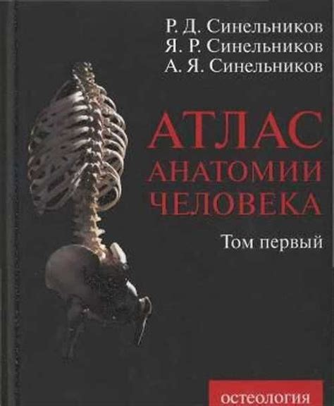 Синельников: Атлас анатомии человека.Том 1 | Festima.Ru - Мониторинг ...