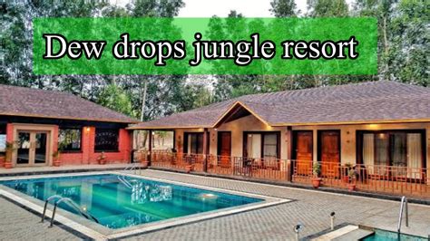 Dew Drops Jungle Resort Best Resort In Dandeli Day 1 In Dandeli