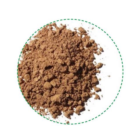 REISHI POWDER | Z-Company | Natural Health Food Ingredients Wholesaler