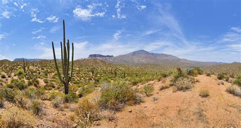 Amazing : The Sonoran Desert In North America...