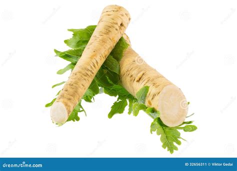 Horseradish And Radish Leaves Stock Image Image Of Fresh Background