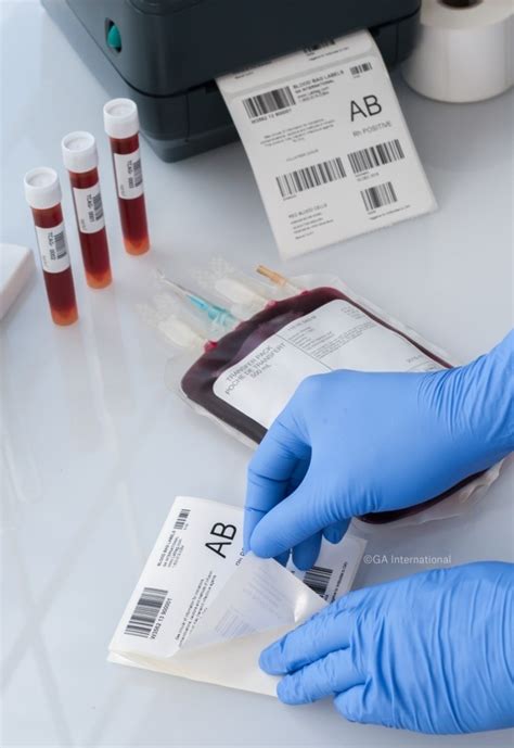 Harbs Etiquetas Etiqueta para Bolsa de Sangue Kit 8 rolos Você