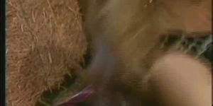 Baise Moi Scene 1 Porn Videos