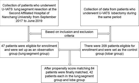 Flowchart Of Participant Screening Propensity Score Matching Psm Was