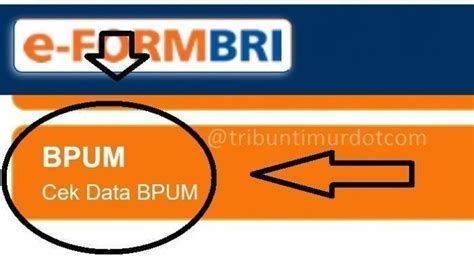 Eform Bni Co Id Bpum Eform Bri Co Id Login Input Nik Cek Nama Nama