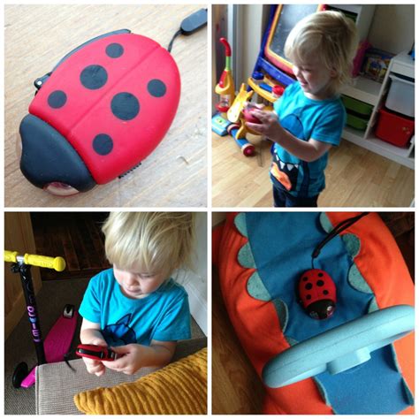 What The Ladybird Heard Toddler Activities