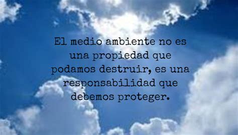 Las Mejores Frases De Cuidar El Medio Ambiente Que Te Motivarán