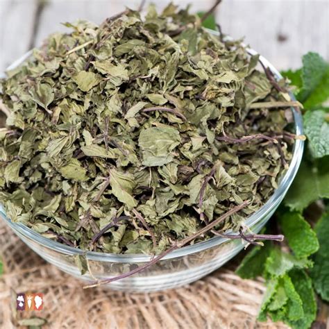 How to Dry Mint Leaves for Tea - The Kitchen Garten