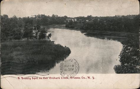 A Beauty Spot On Oak Orchard Creek Point Breeze Ny Postcard