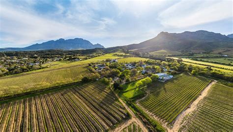 Lanzerac Wine Estate | Wine in the Cape | Wine Estate