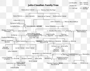 Roman Empire Julio-Claudian Dynasty Ancient Rome Family Tree, PNG ...