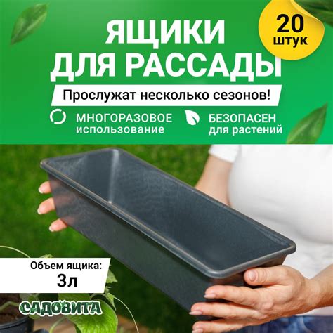 Ящик для рассады Садовита №1 00168982 20шт. купить на OZON по низкой ...